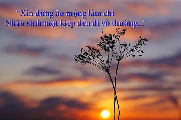 Cái gì đến sẽ đến, cái gì đi sẽ đi - Nhân sinh vô thường Cái gì đến sẽ đến, cái gì đi sẽ đi - Nhân sinh vô thường