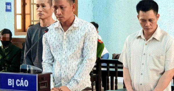 Gia Lai: Xét xử 3 đối tượng vì liên tiếp gây ra 9 vụ trộm cắp trâu, bò trên địa bàn