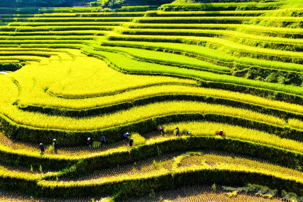 Lượng du khách đến Hà Giang dịp nghỉ lễ tăng hơn gấp đôi so với cùng kỳ năm trước