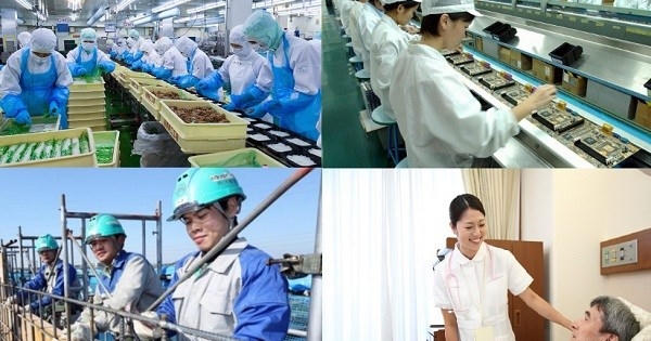 Bức tranh về thị trường lao động sau Covid-19 có nhiều điểm sáng Bức tranh về thị trường lao động sau Covid-19 có nhiều điểm sáng