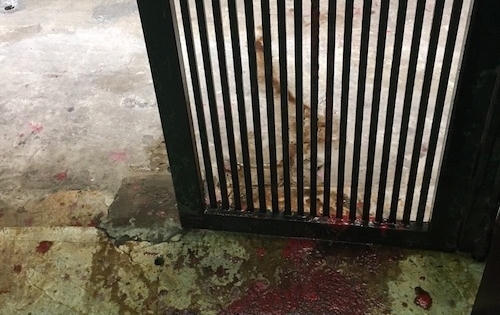 Quận Hai Bà Trưng: Côn đồ khủng bố người dân bằng bom bẩn