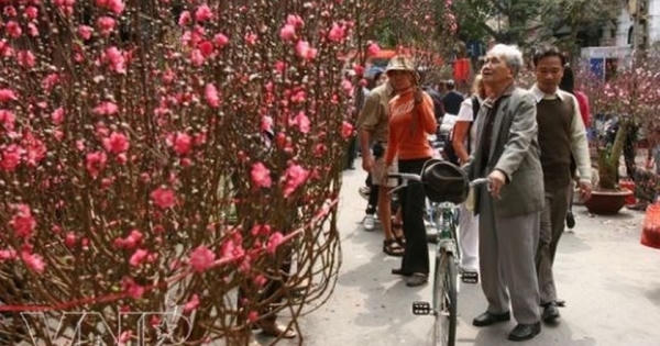 Tết là để trở về Tết là để trở về
