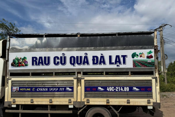Dùng xe chở rau củ quả vận chuyển 97 con heo mắc dịch tả châu Phi Dùng xe chở rau củ quả vận chuyển 97 con heo mắc dịch tả châu Phi
