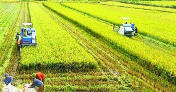 Người nông dân tương lai