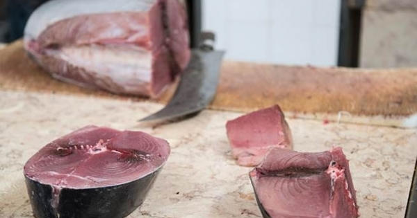 Các loại hải sản có thể gây ngộ độc Các loại hải sản có thể gây ngộ độc