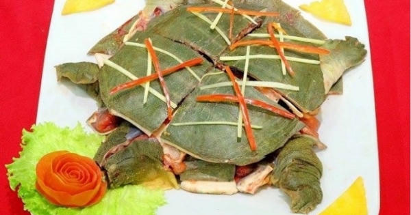 Thịt ba ba: Vị thuốc “quý” ít ai ngờ tới