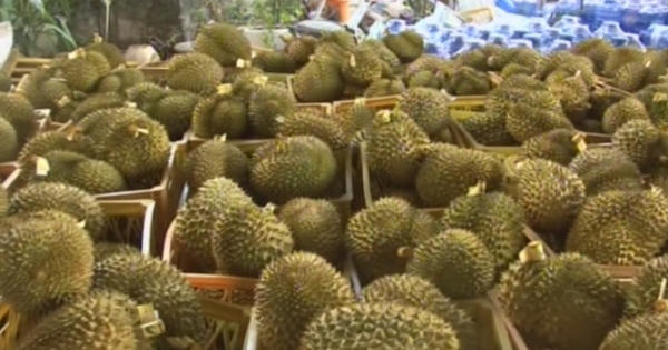 Kinh hoàng: Phát hiện hơn 2 tấn sầu riêng tẩm hóa chất tại Lâm Đồng