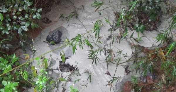 Bắc Giang: Sông Cẩm Đàn "kêu cứu" vì Tập đoàn Á Cường ngang nhiên xả thải