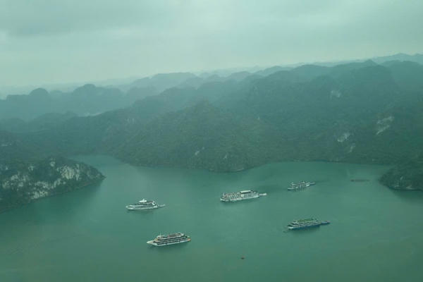 Doanh nghiệp du lịch bị ảnh hưởng bởi bão Yagi được đề xuất tạm dừng đóng quỹ hưu trí và tử tuất trong 6 tháng Doanh nghiệp du lịch bị ảnh hưởng bởi bão Yagi được đề xuất tạm dừng đóng quỹ hưu trí và tử tuất trong 6 tháng