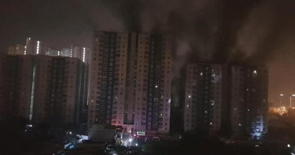 Khởi tố, bắt giam chủ đầu tư chung cư Carina trong vụ cháy khiến 13 người chết