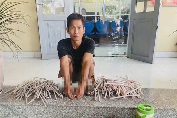 Đồng Nai: Bắt giữ đối tượng cắt dây cáp điện tại khu dự án dân cư