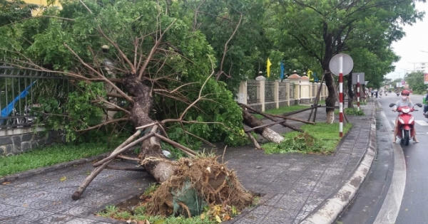 Bão số 4: Tỉnh Thừa Thiên – Huế có 2 người thương vong