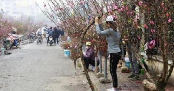 Tuyệt đối không được gây khó khăn cho người dân trong kinh doanh đào, mai