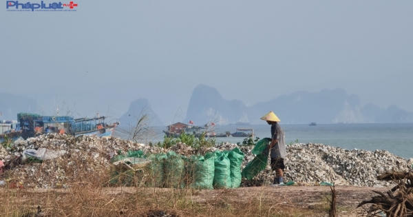 Quảng Ninh: Nhiều xưởng chế biến hàu tại huyện Vân Đồn "bốc mùi", người dân bức xúc