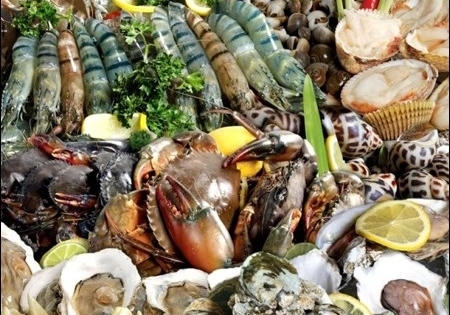 Hải sản đứng đầu bảng về chứa chất cấm, kháng sinh