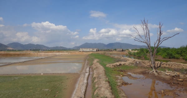 Kỳ 6: Tỉnh Bà Rịa - Vũng Tàu chỉ đạo làm rõ những nội dung Pháp luật Plus phản ánh