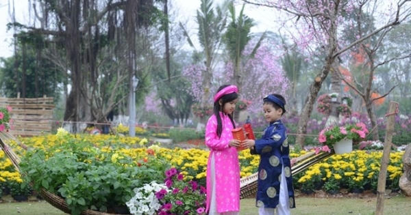 Hà Nội:  Rực rỡ sắc màu cùng lễ hội hoa xuân…