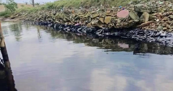 Truy tìm nguồn gốc vệt dầu đen kịt trải dài dọc bờ sông Lam