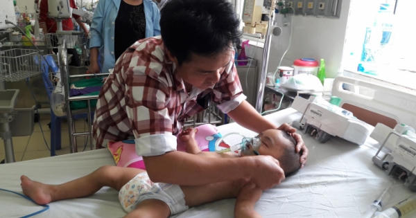 Ra vườn chơi bé trai 19 tháng tuổi bị đàn ong đốt gần 1000 phải nhập viện