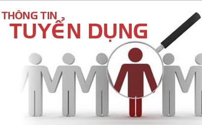 Công ty cổ phần đầu tư MIC tuyển dụng