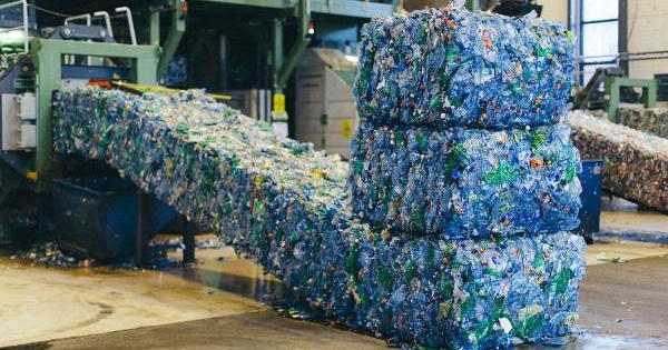 Phấn đấu đến năm 2025 sử dụng 100% túi nylon, bao bì thân thiện với môi trường