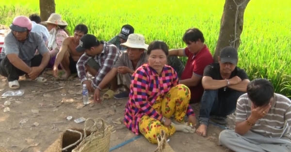 Kiên Giang: Bắt quả tang các con bạc đang sát phạt dưới hình thức đá gà, thu giữ gần 200 triệu đồng