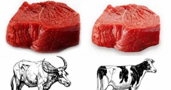 Thịt bò có tốt hơn thịt trâu?