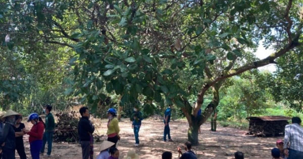 Tìm thấy thi thể bé trai 4 tuổi  tử vong dưới chân núi