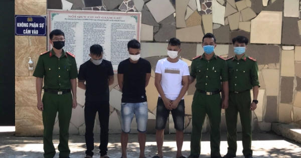 Giám đốc Công ty bất động sản ở Nghệ An bị bắt vì trộm cây cảnh