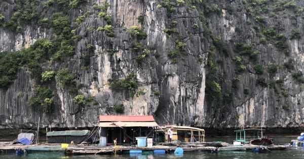 Tập trung tháo dỡ 21 cơ sở nuôi trồng thuỷ sản trên quần đảo Cát Bà
