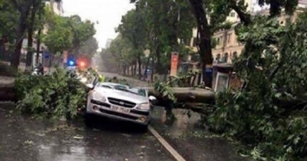 7 người chết và mất tích sau cơn bão số 1