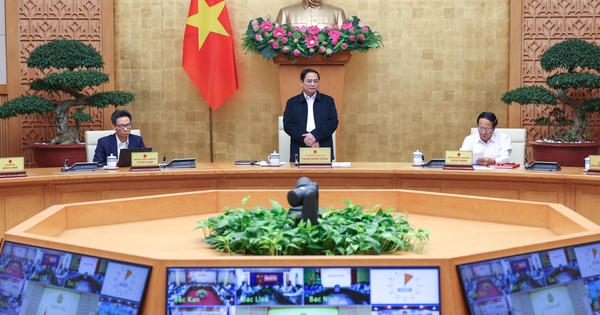 Thủ tướng: Xử lý nghiêm hành vi lợi dụng đấu giá gây nhiễu loạn thị trường Thủ tướng: Xử lý nghiêm hành vi lợi dụng đấu giá gây nhiễu loạn thị trường