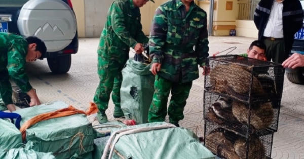 Cao Bằng: Bắt giữ đối tượng vận chuyển trái phép động vật hoang dã