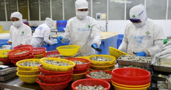 Cà Mau chủ động kết nối tiêu thụ nông, thủy sản, tìm đầu ra cho doanh nghiệp