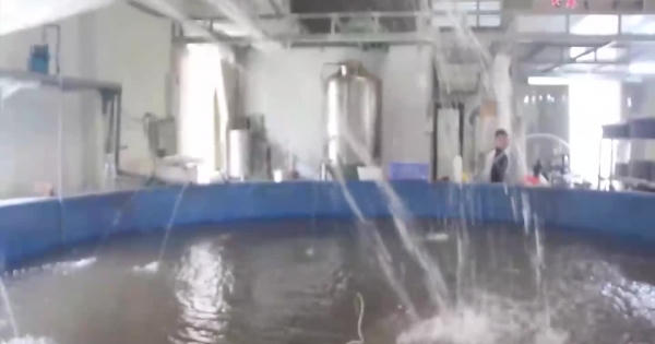 Về nơi cung cấp “phương tiện” cho Táo quân