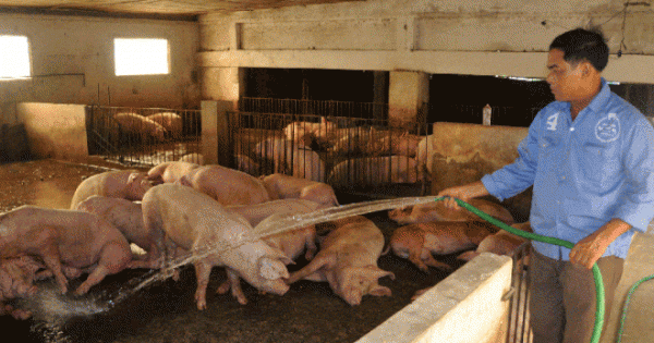 Chính sách tín dụng khuyến khích sản xuất nông nghiệp