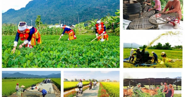 Tháo gỡ khó khăn, thúc đẩy triển khai thực hiện 3 chương trình mục tiêu quốc gia Tháo gỡ khó khăn, thúc đẩy triển khai thực hiện 3 chương trình mục tiêu quốc gia