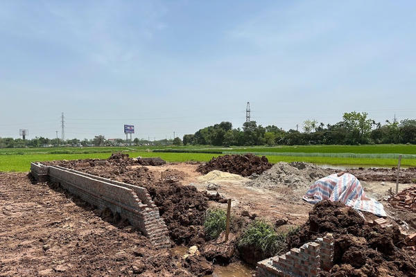 Hai chủ tịch xã ở Hà Nội bị tạm đình chỉ vì để xảy ra vi phạm về đất đai, xây dựng