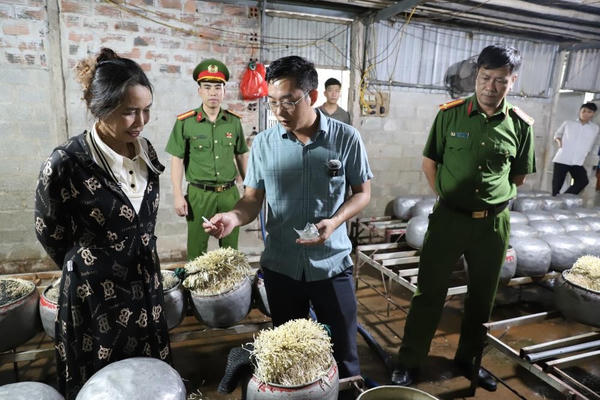 Hà Tĩnh: Phát hiện cơ sở dùng "nước kẹo" sản xuất giá đỗ