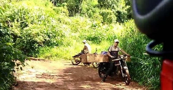 Xe chở gỗ ngang nhiên qua trạm kiểm soát lâm sản, rừng Mang Yang tiếp tục bị tàn phá