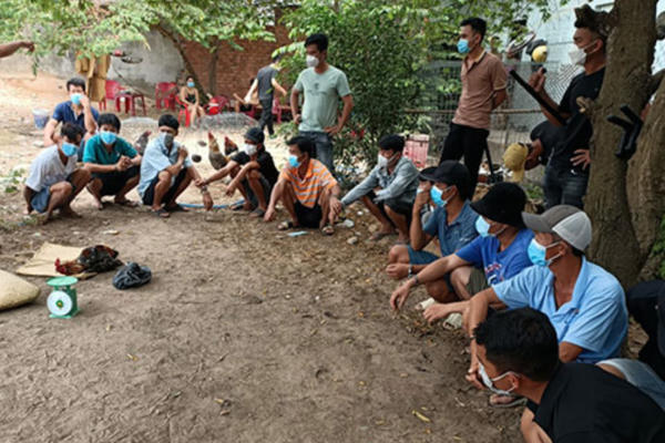 Triệt phá trường gà ở huyện Nhơn Trạch, bắt giữ nhiều đối tượng Triệt phá trường gà ở huyện Nhơn Trạch, bắt giữ nhiều đối tượng