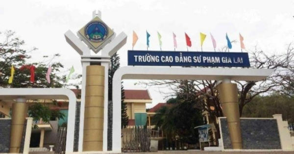 Thành lập Phân hiệu Trường Đại học Sư phạm TP. Hồ Chí Minh tại Gia Lai