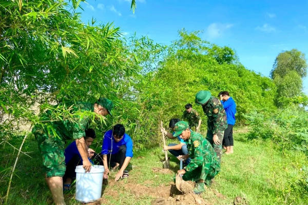 Luỹ tre biên giới sáng rực dưới ánh đèn đường biên Luỹ tre biên giới sáng rực dưới ánh đèn đường biên