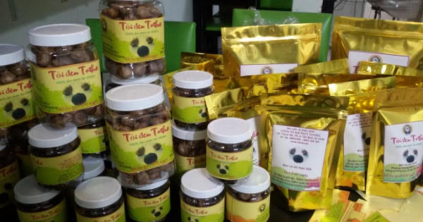 Kỳ 5 - Totha và công dụng kỳ diệu với một số bệnh phổ biến hiện nay