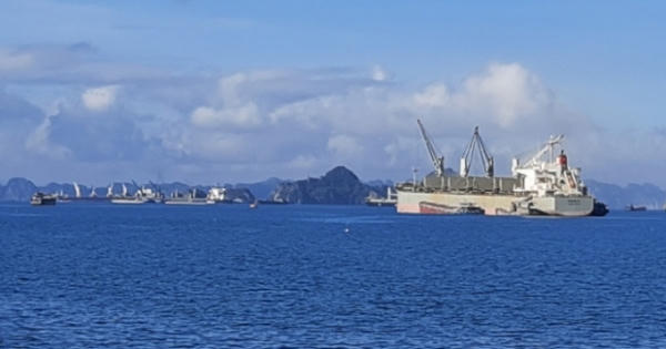 Quảng Ninh: Triệt phá ổ nhóm chuyên cưỡng đoạt tài sản của chủ tàu tại khu vực cảng Hòn Nét