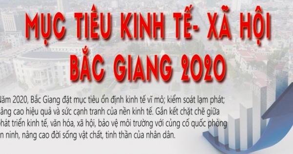Infographic: Mục tiêu kinh tế - xã hội Bắc Giang 2020