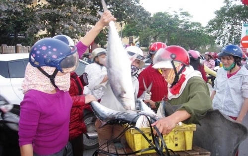 Bị phạt 10 triệu đồng vì tung tin lên facebook cá bị tẩm độc