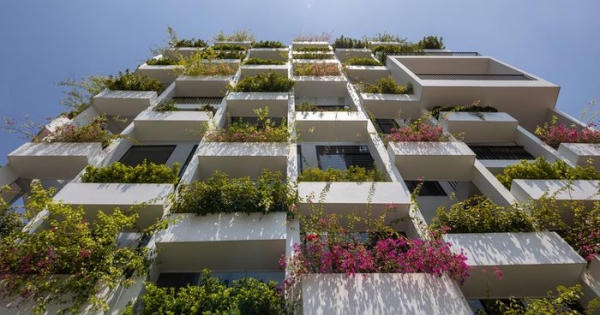 Hàng trăm bồn cây bọc bên ngoài, nhà Bắc Ninh khiến báo ngoại trầm trồ