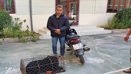 Đang đèo chú gấu 30kg đi bán thì bị công an tóm gọn