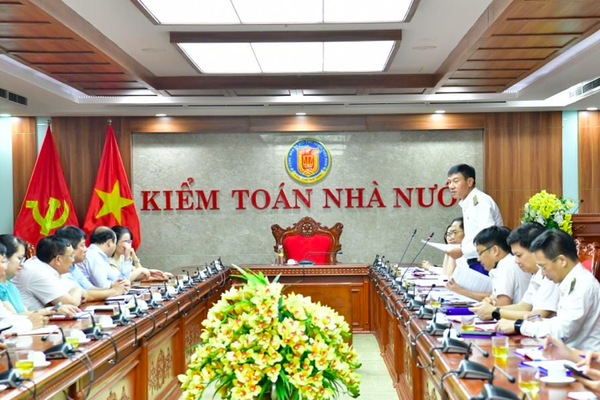 Kiểm toán tại Tập đoàn Điện lực Việt Nam và Tổng công ty Phát điện 2